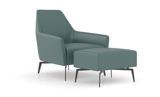 Alcove Leisure Chair